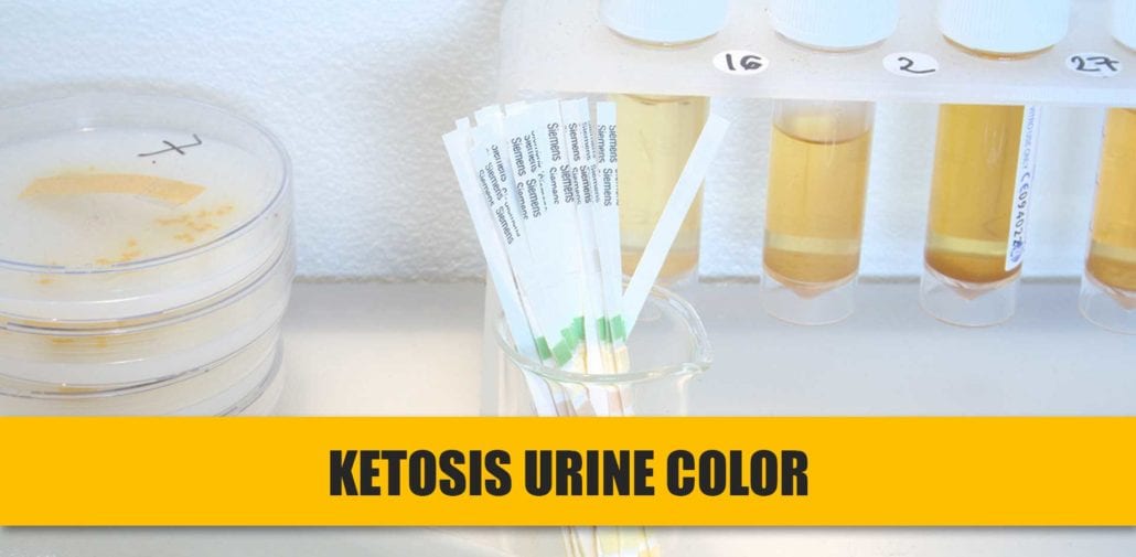 Urine Color in Ketosis- 4 Different Shades & Their Meaning - KetoReviews